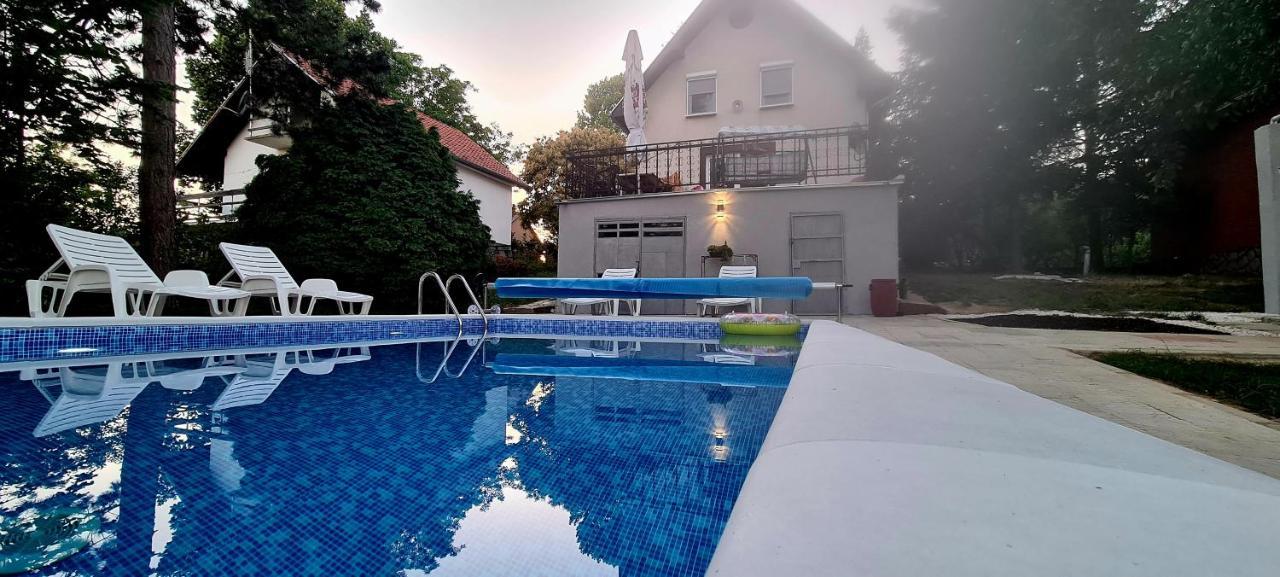 Вілла Vila Sinfonia, A House With A Pool Velika Remeta Екстер'єр фото